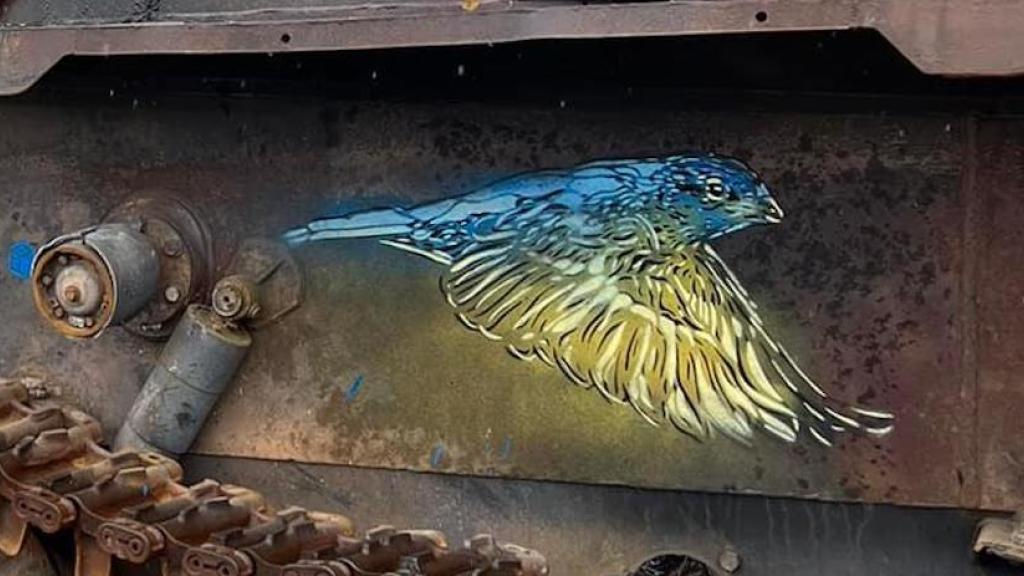 Stencil street artist C215 in Ukraine 2022