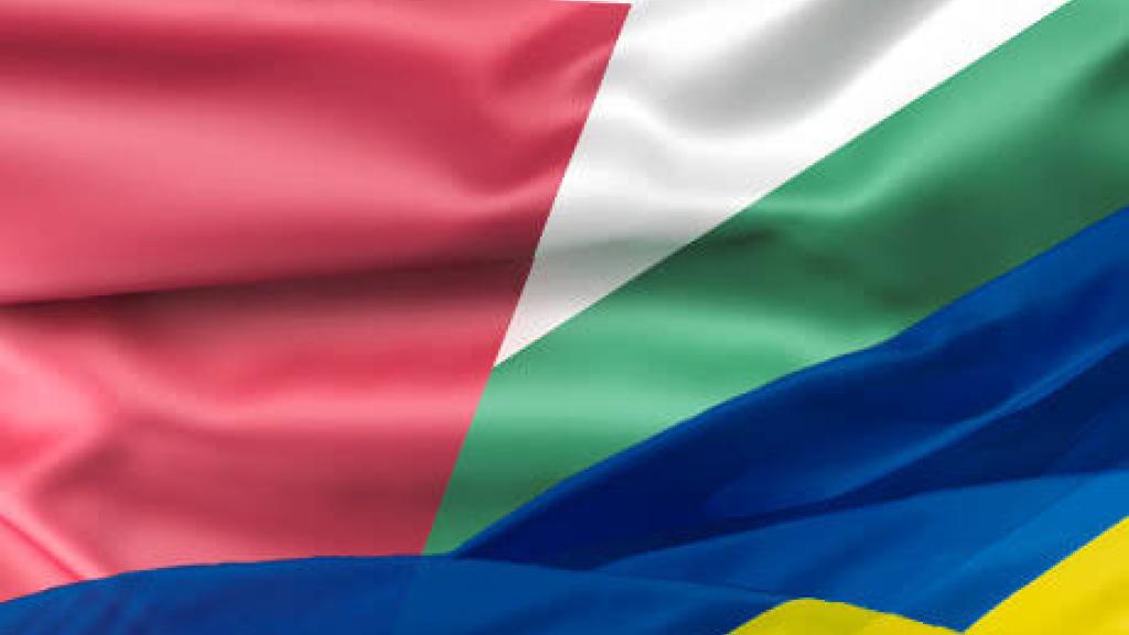 Palestine Ukraine flag