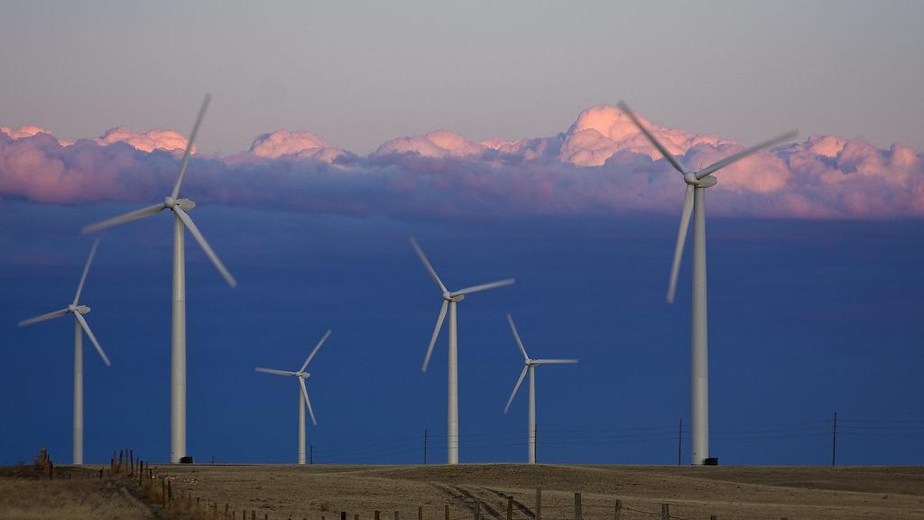 wind farm