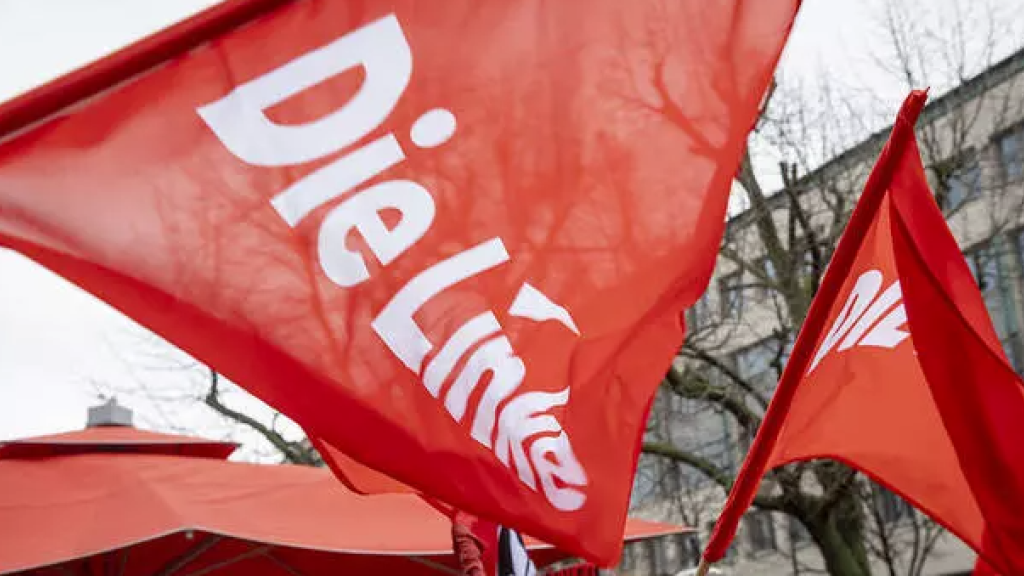 Die Linke flag