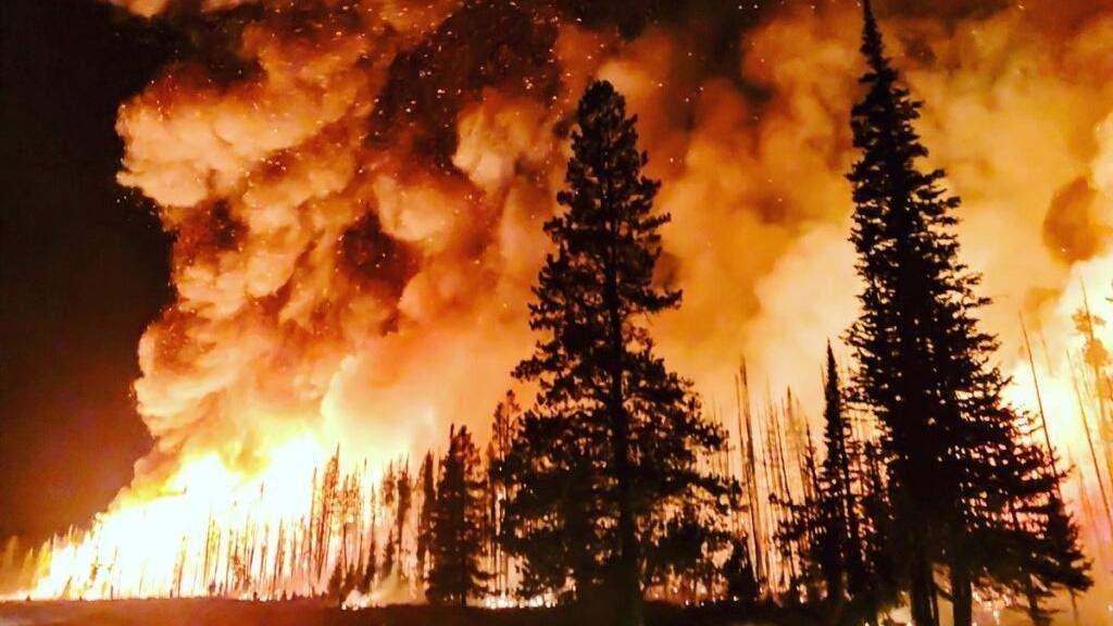 Canadian wildfires