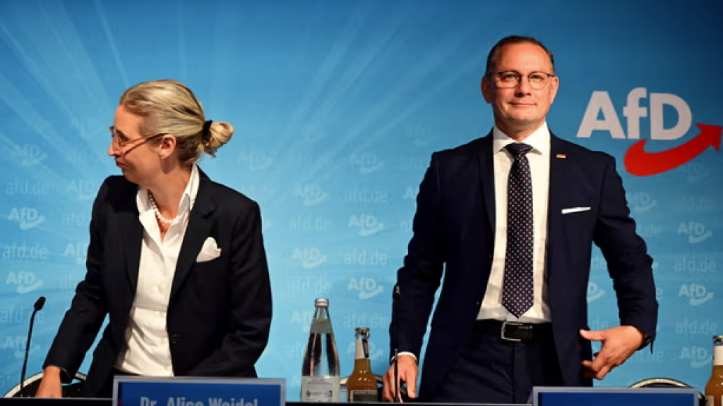 AfD leaders