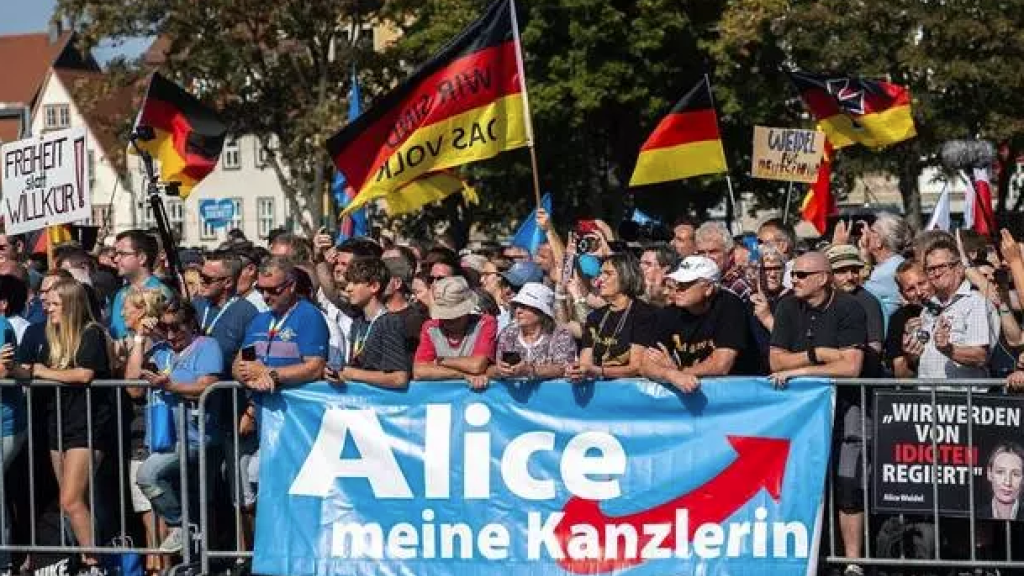 AfD protest