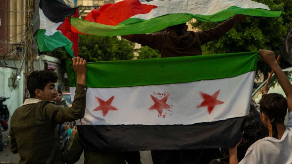 Free Syria flag at protest