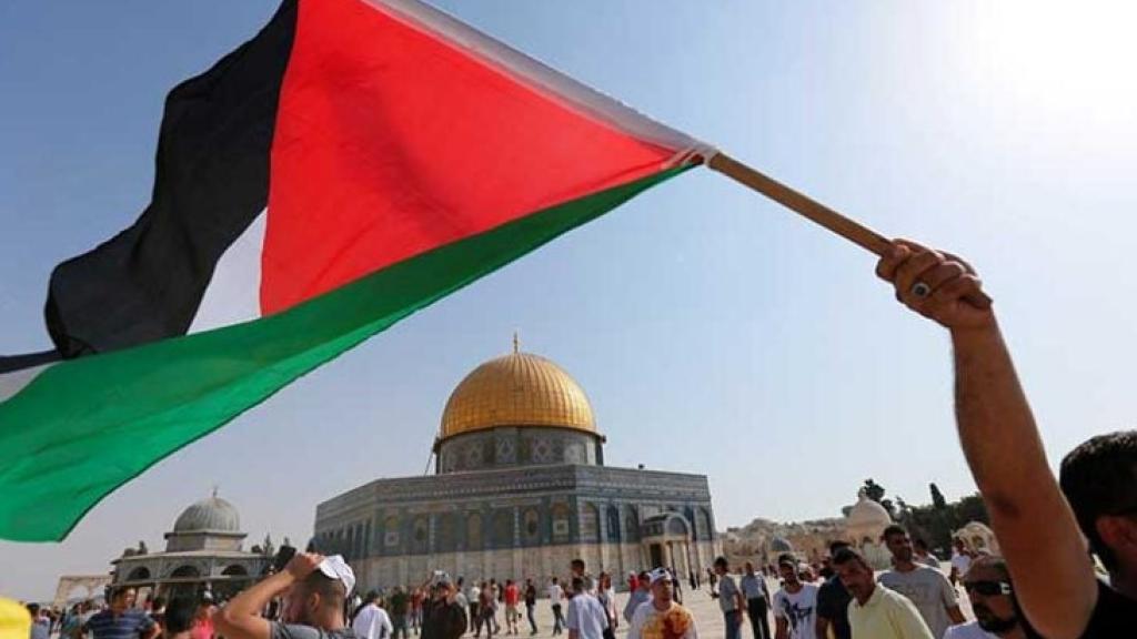 Palestine flag