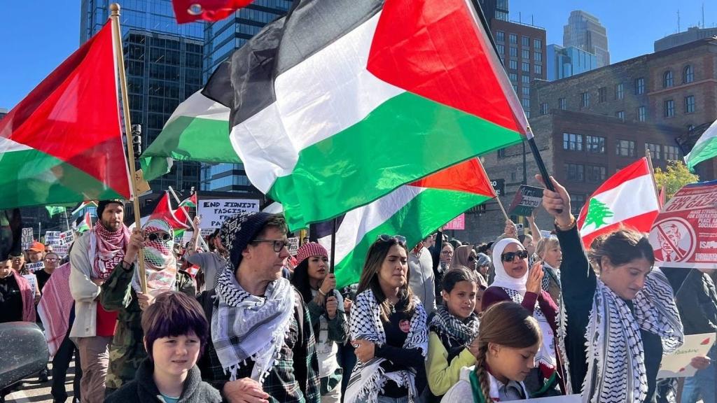 Palestine rally in US