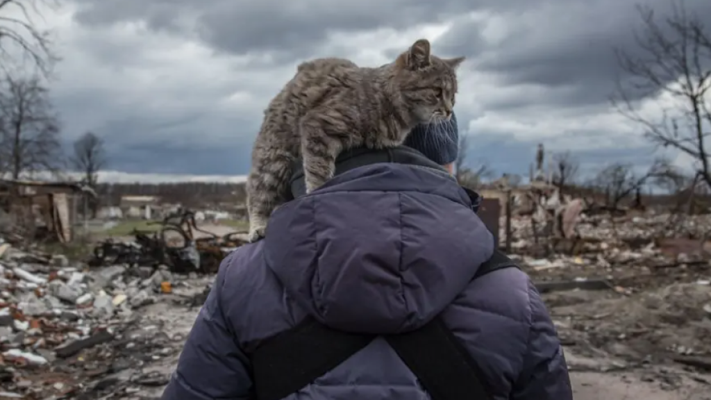 Four years of war and no end in sight: destruction caused by Russian airstrikes in the village of Novoselivka, April 2022. 