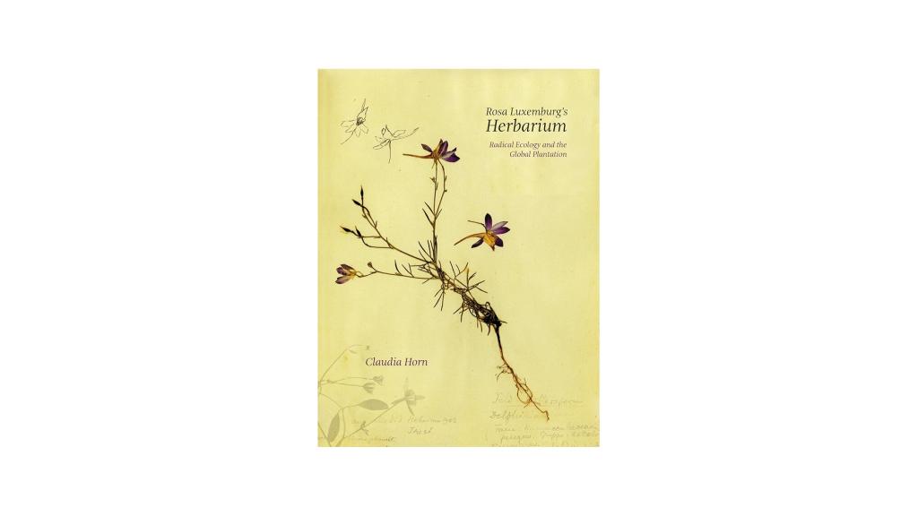 Rosa Luxemburg radical ecology