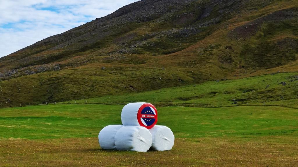 Iceland No EU referendum