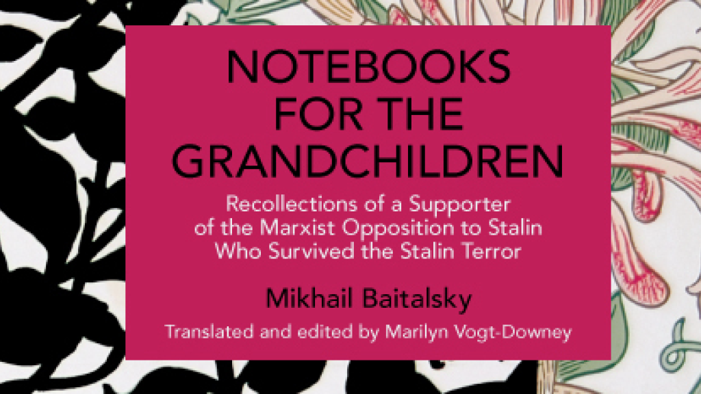 book cover Notebooks for the grandchildren