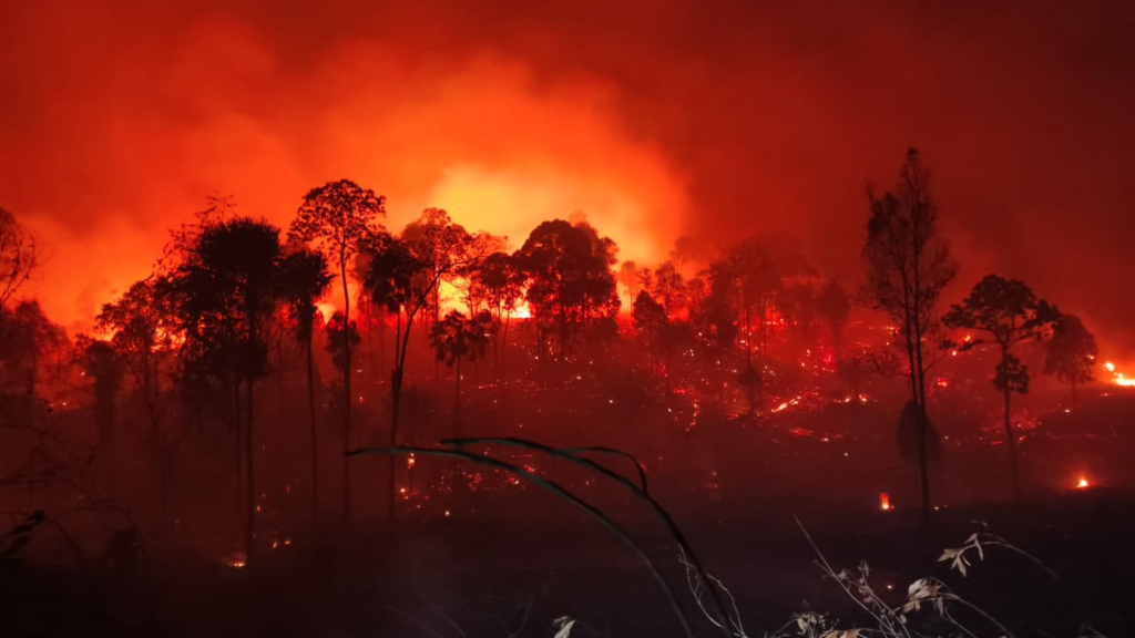 Indonesia fires