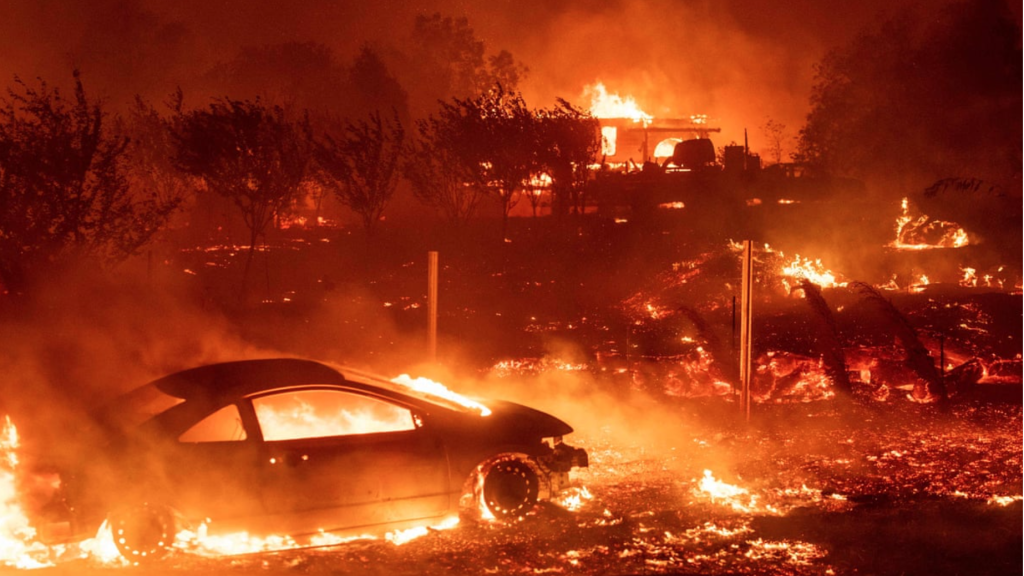 Paradise wildfire