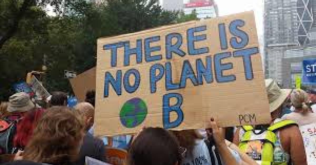 The necessity of ecosocialist degrowth
