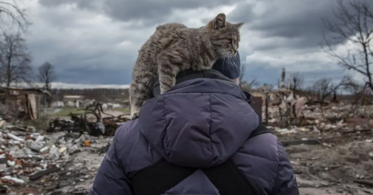 Ukraine: The peace that cannot come