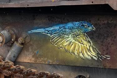 Stencil street artist C215 in Ukraine 2022