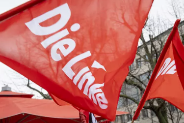 Die Linke flag