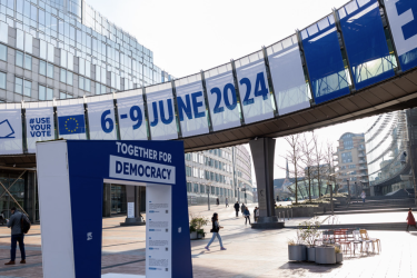 European elections