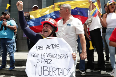 protest tally sheets Venezuela