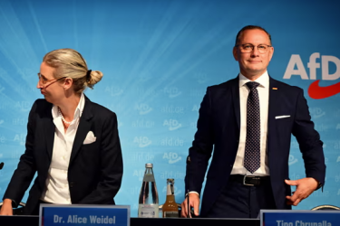 AfD leaders