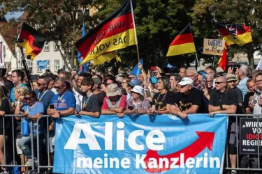 AfD protest