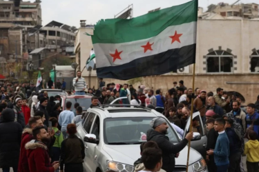 Free Syria flag and rally