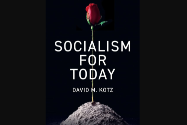 Socialism for today david kotz