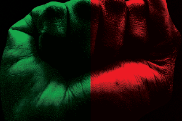 red and green ecosocialist fist