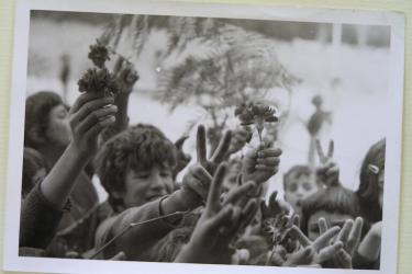 Carnation Revolution