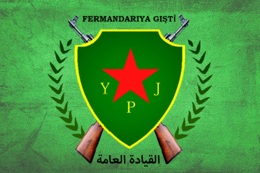 YPJ logo