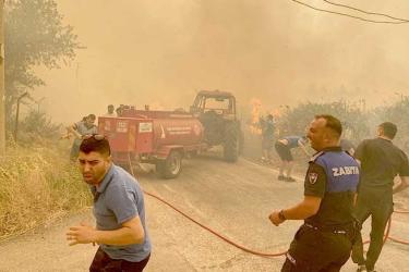 smoke bushfire