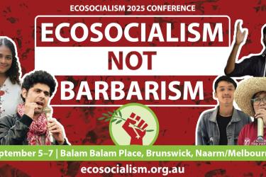 Ecosocialism 2025