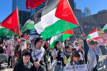 Palestine rally in US