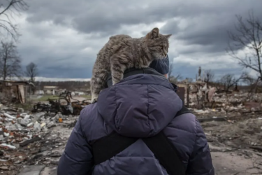 Four years of war and no end in sight: destruction caused by Russian airstrikes in the village of Novoselivka, April 2022. 