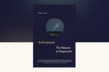 Anthropause: The Beauty of Degrowth