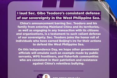 Akbayan support Teodoro