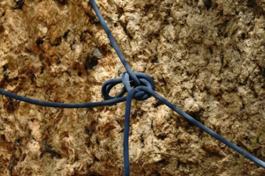 tied knot