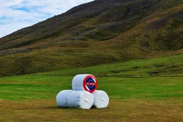 Iceland No EU referendum