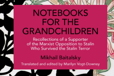 book cover Notebooks for the grandchildren