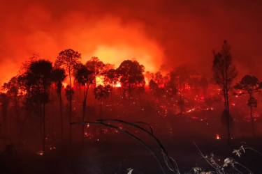Indonesia fires