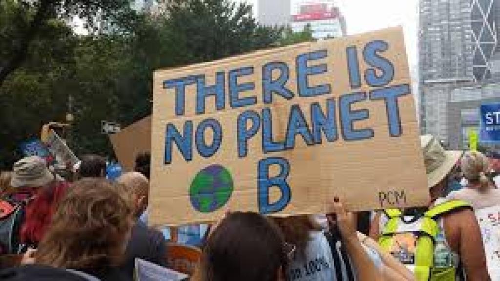 No planet B placard