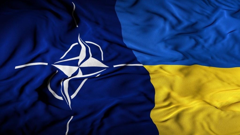 Ukraine Nato flag