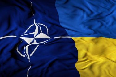 Ukraine Nato flag