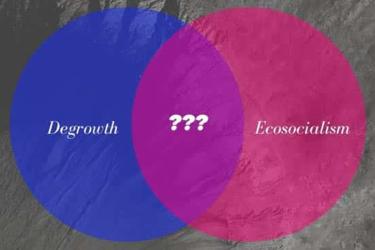 Ecosocialism and degrowth