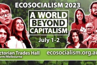 Ecosocialism ad